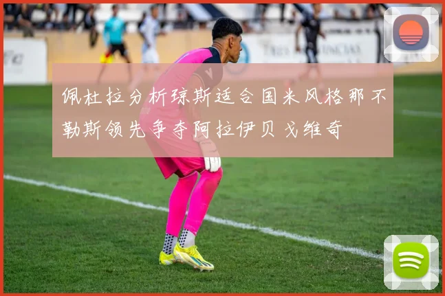 佩杜拉分析琼斯适合国米风格那不勒斯领先争夺阿拉伊贝戈维奇