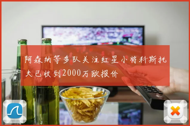阿森纳等多队关注红星小将科斯托夫已收到2000万欧报价